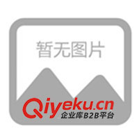 廣東石英砂過(guò)濾器(圖)